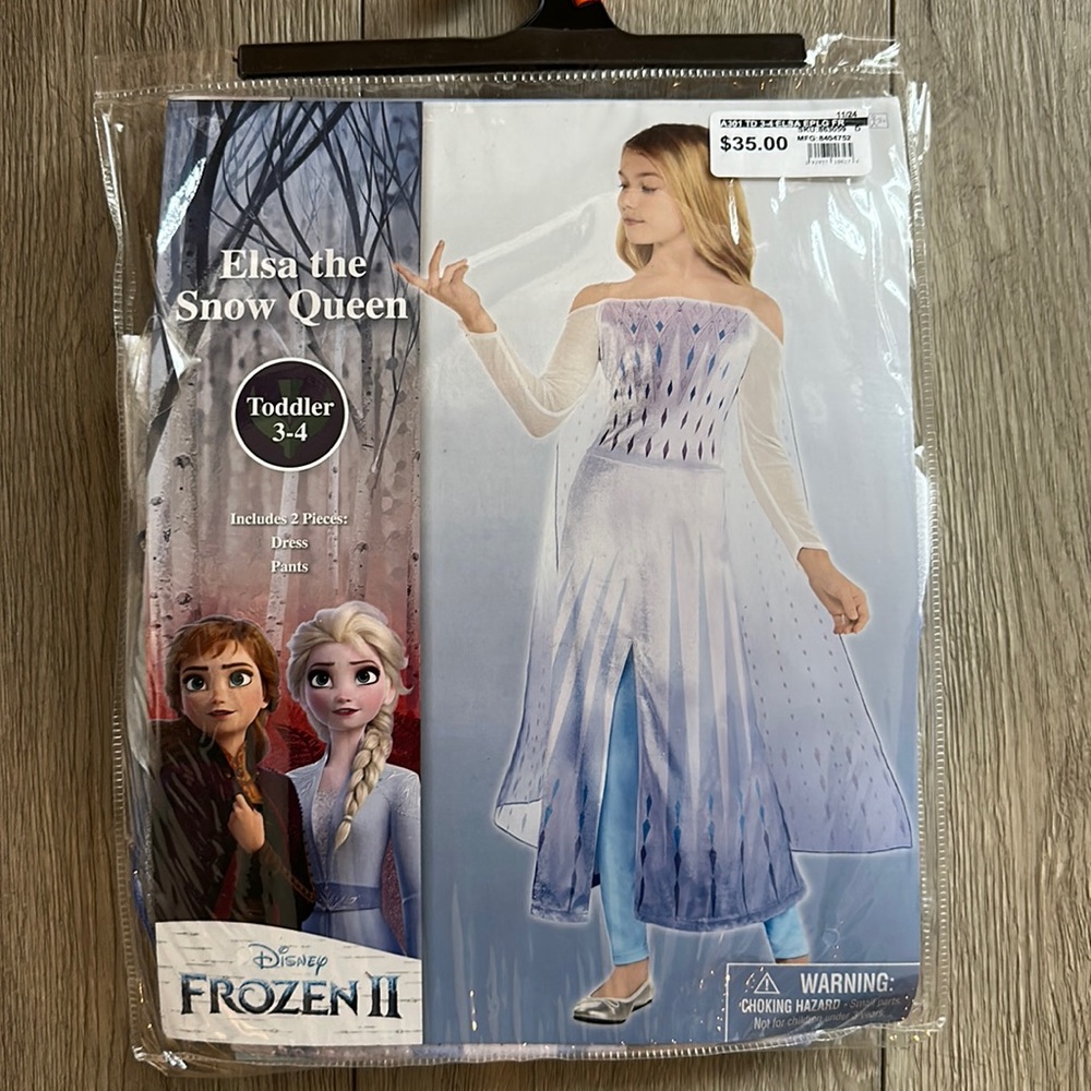 Elsa the Snow Queen Costume